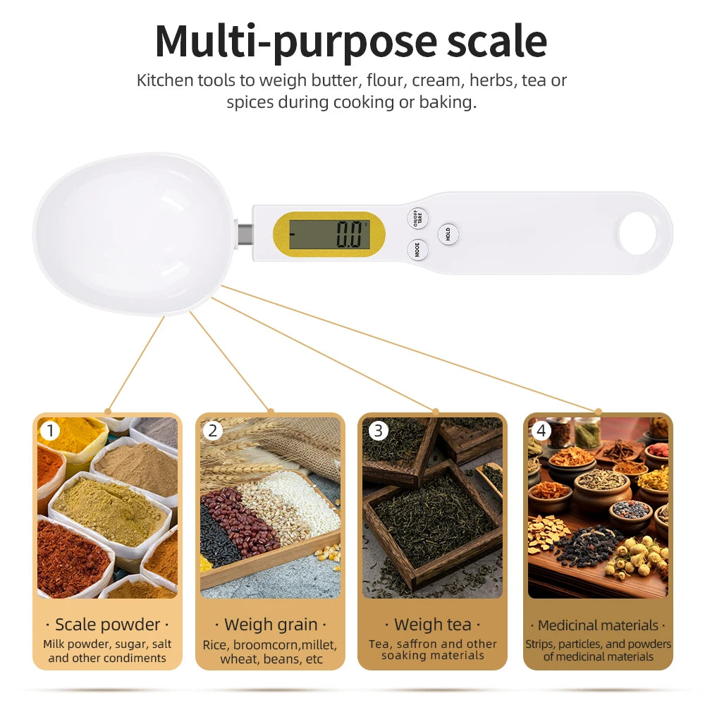 Scoop & Scale