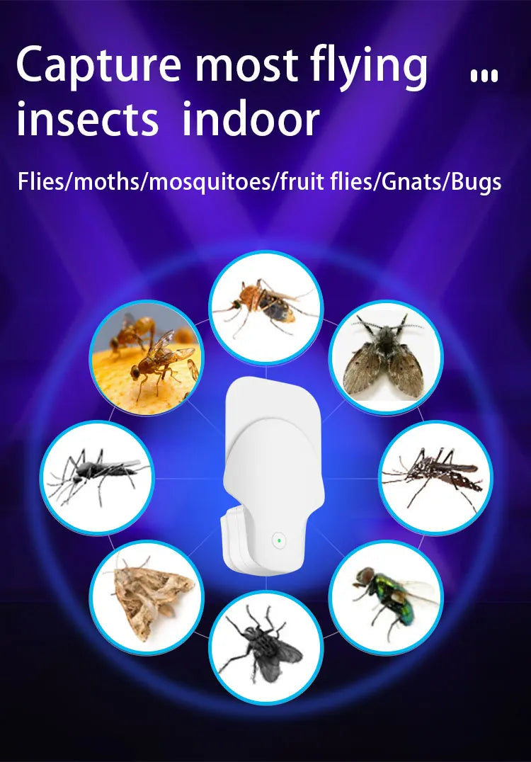 Bugzee Indoor Insect Trap